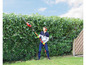 Ein Mann schneidet mit einer elektrischen Heckenschere eine Hecke.
