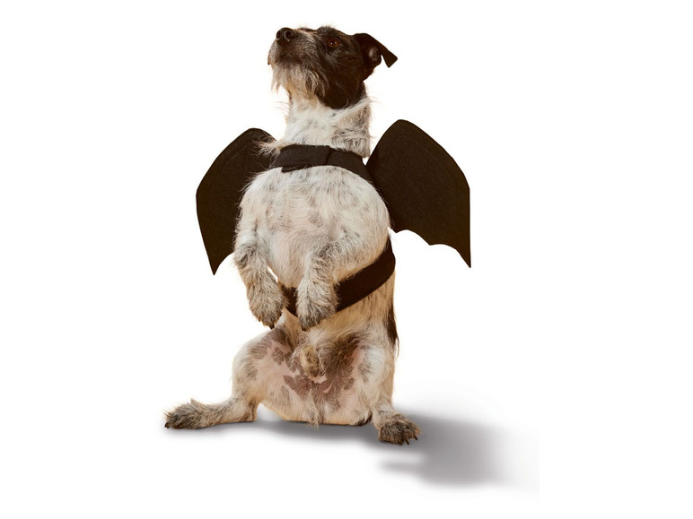 Gehe zu Vollbildansicht: Hundekostüm, mit Klettverschluss - Bild 11