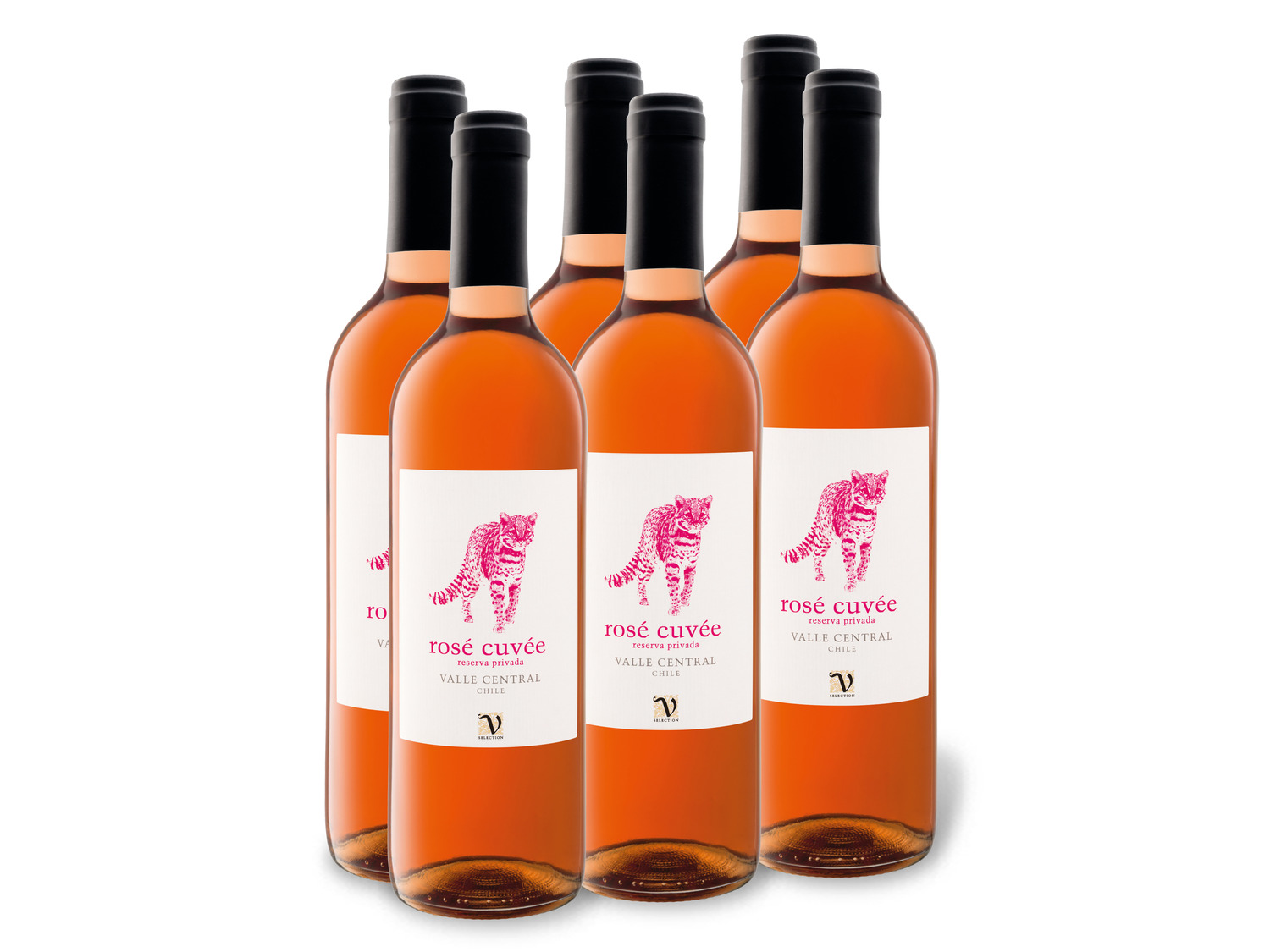 6 x 0,75-l-Flasche Weinpaket VIAJERO Rosé Cuvée Valle …