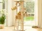 Ein beigefarbener Katzenkratzbaum mit mehreren Plattformen, einer Leiter und zwei Katzen