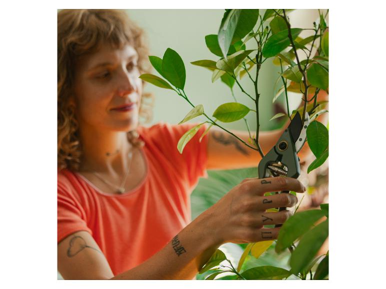 Frau schneidet Pflanze mit Gartenschere.