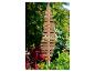 Hölzerne Weihnachtsbaum-Gartendekoration mit roten und grünen Pflanzen.