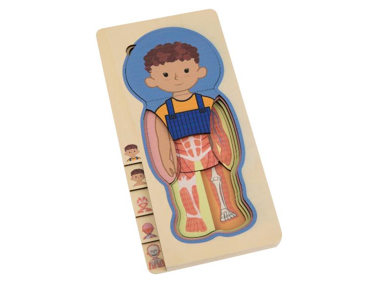 Geschichtetes Holzpuzzle des menschlichen Körpers für Kinder, das Haut, Muskeln und Skelett zeigt.