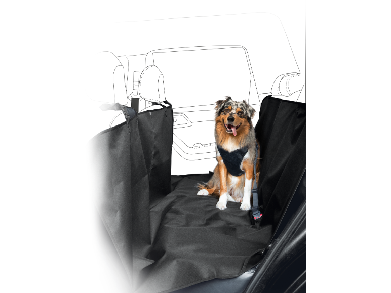Hund in einem Autositzbezug.