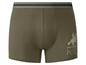 Grüne U.S. Polo Assn. Boxershorts mit Reiterlogo.
