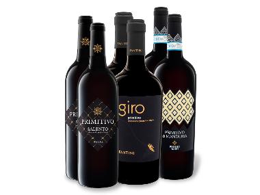 Primitivo Entdeckerpaket