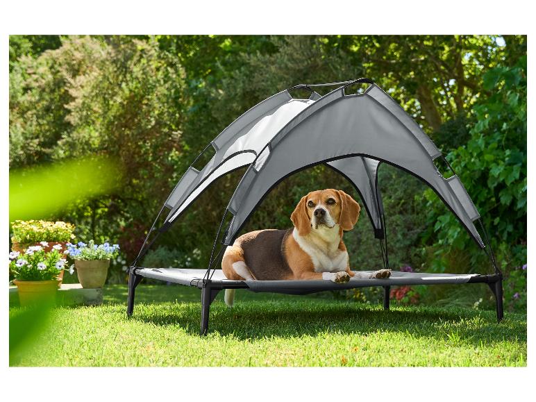 Hund auf einem erhöhten Bett mit Überdachung im Garten.