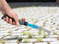 Eine Hand benutzt einen Unkrautentferner, um Unkraut aus einem Pflaster zu entfernen.