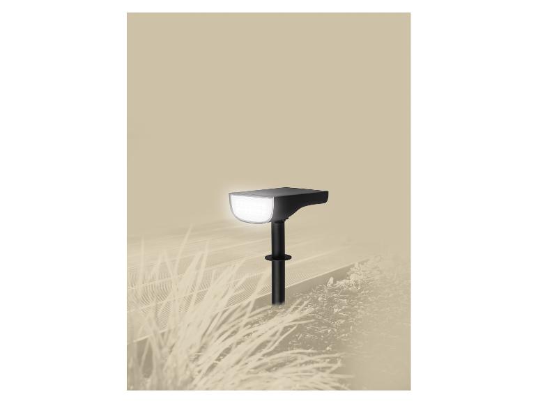 LED-Solarleuchte im Garten, die einen Weg beleuchtet.