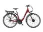 Rotes E-Bike mit schwarzem Sattel und Gepäckträger auf weißem Hintergrund.