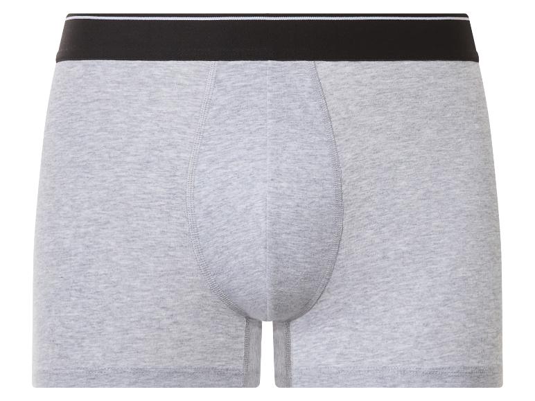 Graue Herren-Boxershorts mit schwarz-weiß gestreiftem Bund