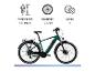 Grünes E-Bike mit Icons für Körpergröße (175-195cm), Radgröße (28 Zoll) und 8 Gänge.