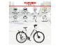 TELEFUNKEN E-City RC670 E-Bike mit 489,6 Wh Akku, 250 W Motor und 100 km Reichweite.