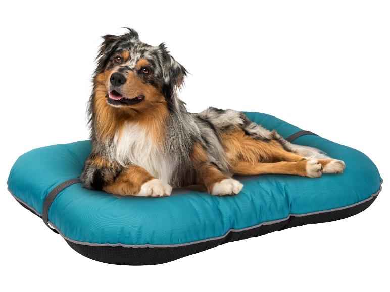 Ein Australian Shepherd auf einem türkisfarbenen Hundebett.