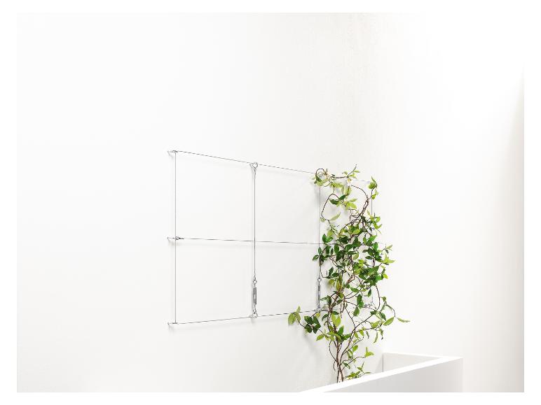 Eine Pflanze wächst entlang eines Metallgitters an der Wand.
