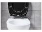 Schwarzer Toilettensitz auf einer weißen Toilette.