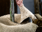 Hand bedeckt Pflanze mit Jute zur Überwinterung.