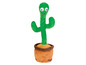 Talkback Kaktus