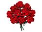Ein Strauß roter Baustein-Rosen mit grünen Stielen auf weißem Hintergrund.