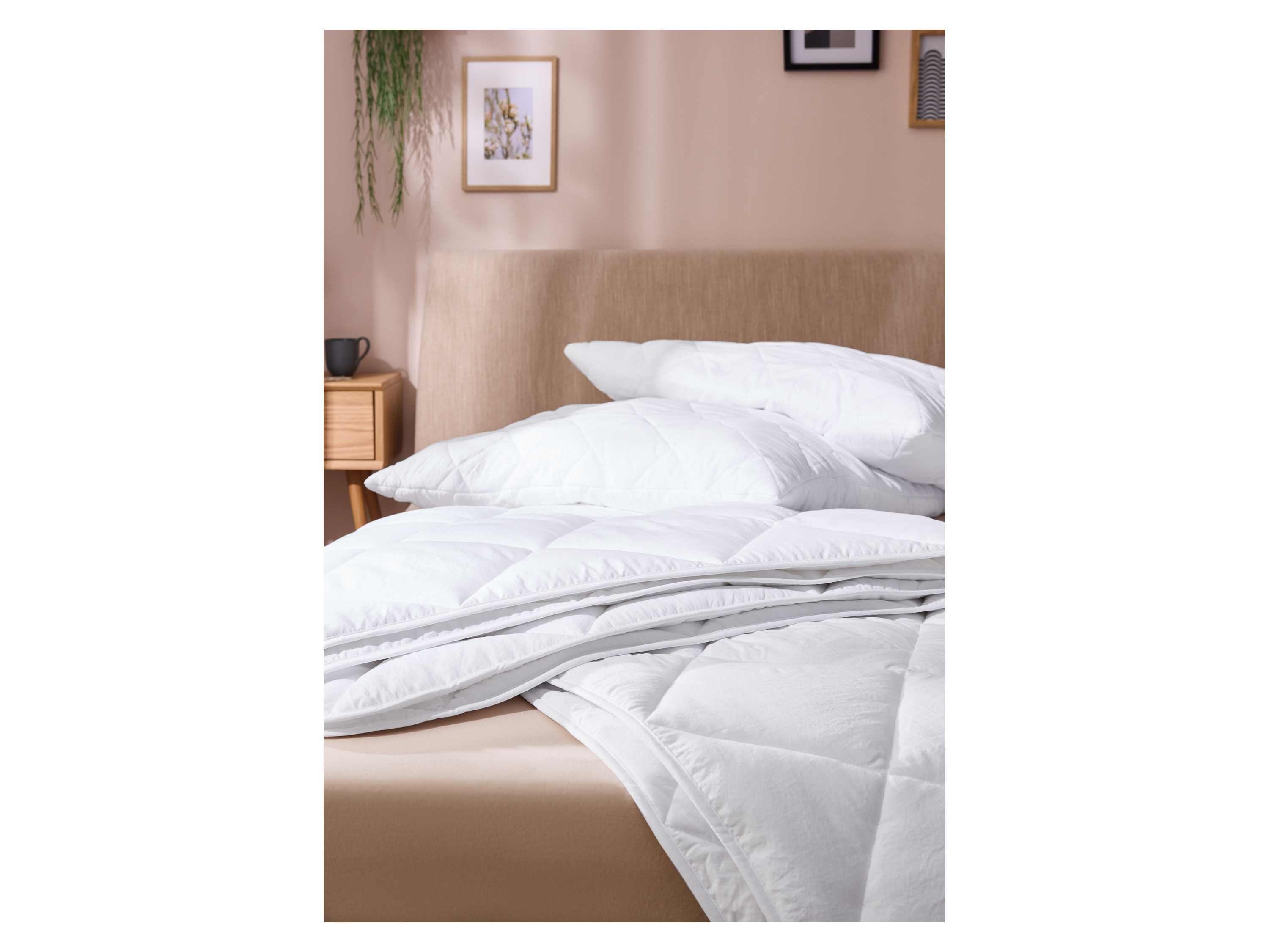 Thumbnail - LIVARNO home Kopfkissen »Soft Touch«, 80 x 80 cm