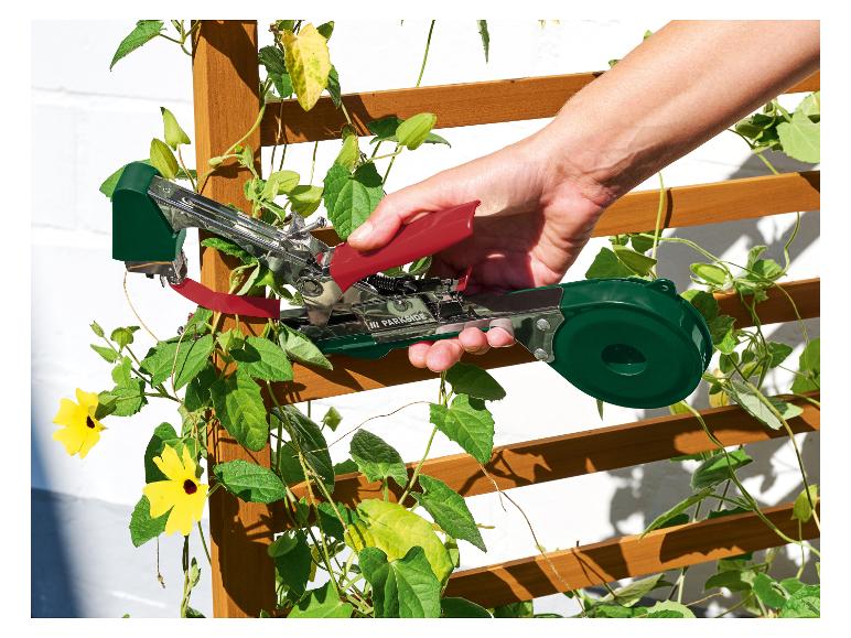Hand benutzt ein Pflanzenbindegerät, um eine Kletterpflanze mit gelben Blüten an einem Holzspalier zu befestigen.