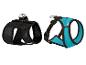 Hundegurte: schwarzes Modell und türkisfarbenes Zooafari-Geschirr.