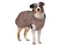 Australian Shepherd in braunem Hundemantel mit reflektierender Pfote.