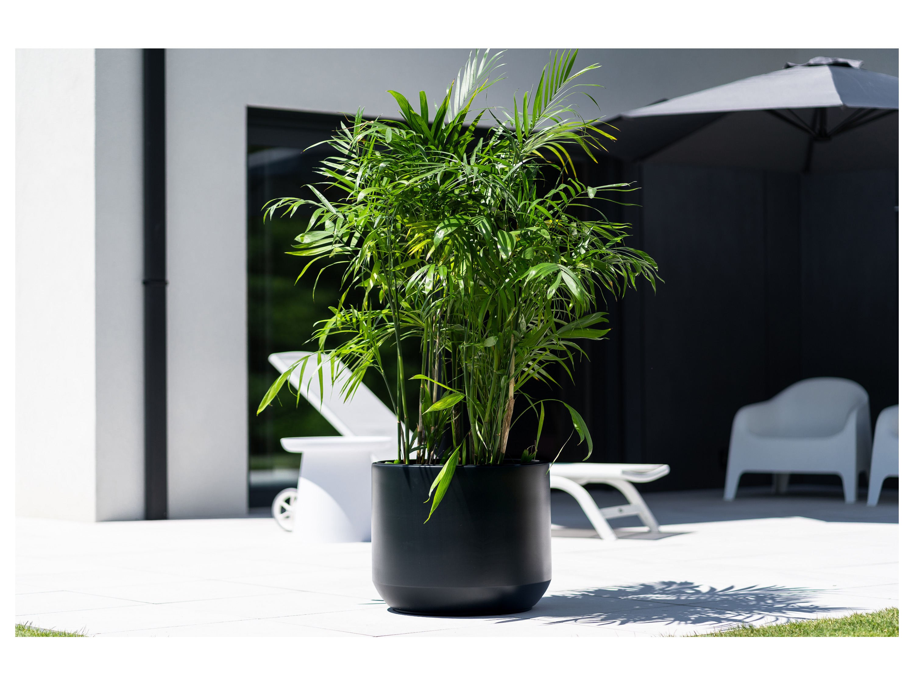 Thumbnail - Prosperplast Blumentopf Heos (Anthrazit, 470x568)