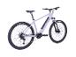 Graues E-Mountainbike mit schwarzen Reifen und Sattel, auf weißem Hintergrund.