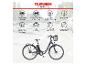 E-Bike mit 531,3 Wh Akku, 250 W Frontmotor und bis zu 100 km Reichweite.