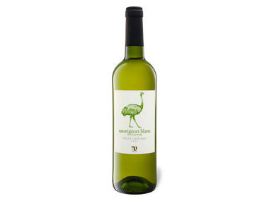 VIAJERO Sauvignon Blanc Reserva Privada Chile trocken, Weißwein 2021