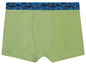Grüne Boxershorts mit einem blauen und schwarzen Band.