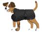 Cartoon-Hund in einem schwarzen Steppmantel mit Schnalle.