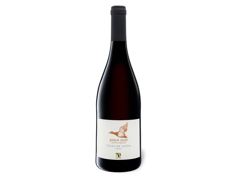beliebt günstig VIAJERO Pinot Noir Chile trocken, 2019 Rotwein de Leyda Valle