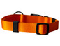 Ein orangefarbenes Hundehalsband mit schwarzer Schnalle.