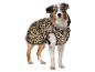 Australian Shepherd Hund in Leopardenmuster-Hundemantel