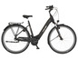 Ein schwarzes Fischer Cita 2.21 E-Bike mit Vorder- und Hinterrad.