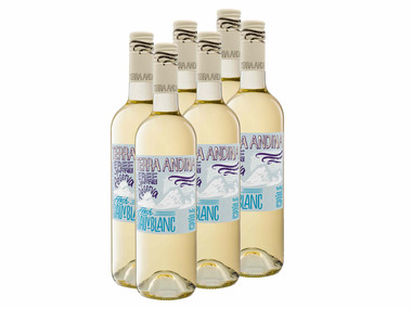 6 x 0,75-l-Flasche Weinpaket Terra Andina Sauvignon Blanc Chile Valle Central trocken, Weißwein