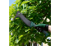 Garten-Machete mit Handschuh, zum Schneiden üppiger Vegetation verwendet.