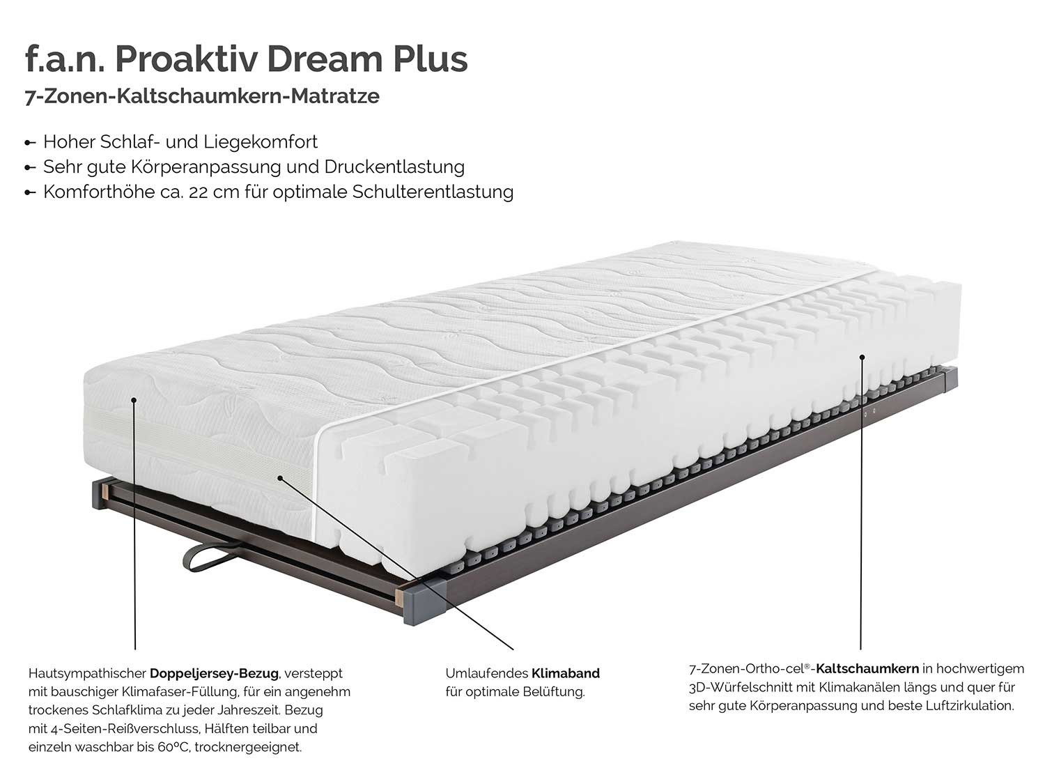f.a.n. Set aus Matratze »Proaktiv Dream Plus« und Latt…