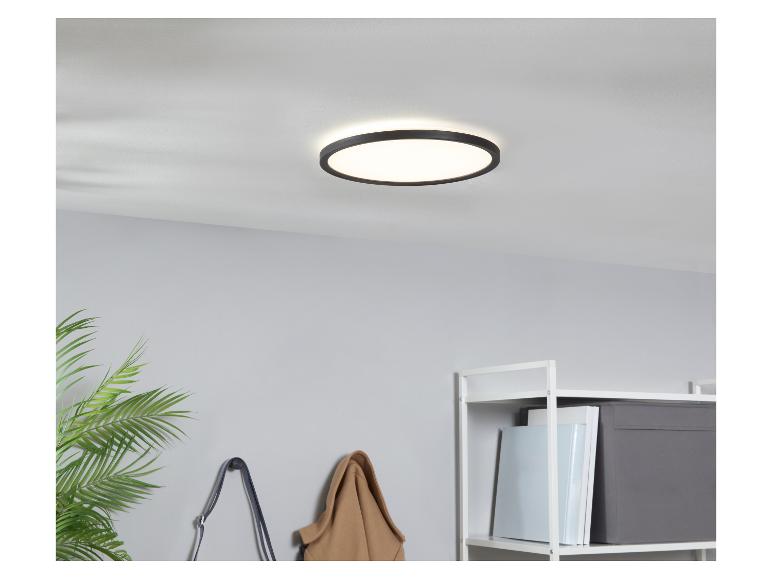 Moderne runde Deckenleuchte im minimalistischen Design, installiert in einem Raum mit einer Pflanze und einem Regal.