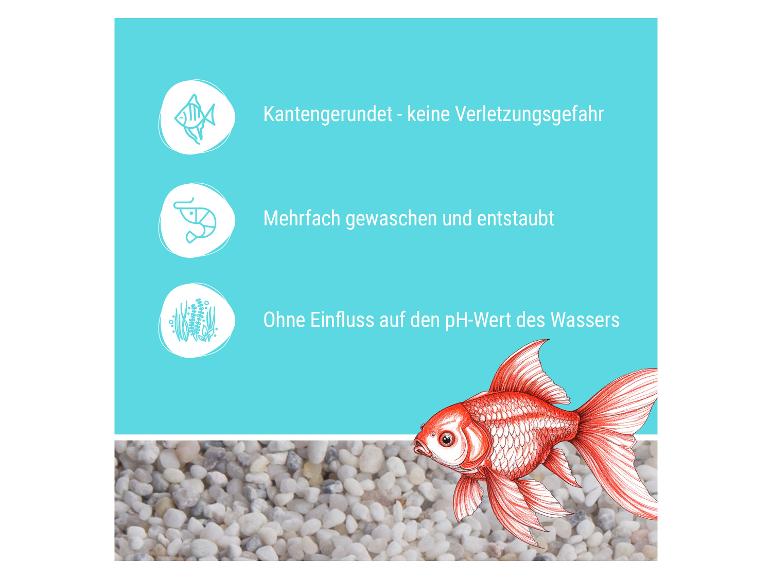 Aquariumkies mit abgerundeten Kanten, gewaschen, staubfrei und pH-neutral, mit Goldfisch.