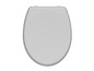 Ein grauer Toilettensitz mit Soft-Close-Funktion.