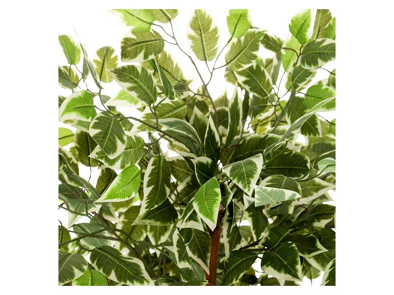 HJH OFFICE Kunstpflanze / Kunstbaum FICUS Kunststoff | Lidl