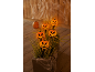 Halloween-Kürbislampen in einem Pflanzgefäß mit Spinnweben und einem Kürbis im Hintergrund.