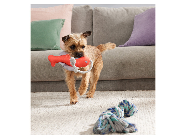 Gehe zu Vollbildansicht: zoofari® Hundespielzeug, zum Spielen und Apportieren - Bild 6