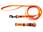 Eine orangefarbene Hundeleine und ein Halsband