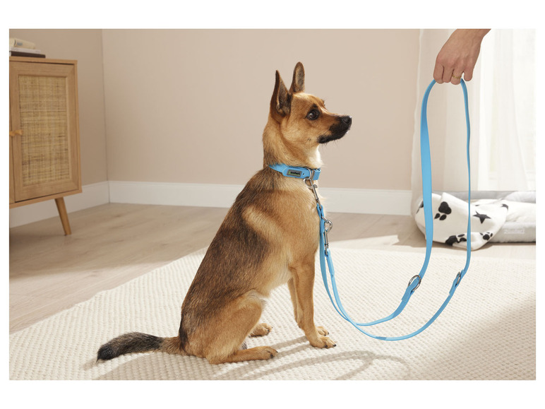 Gehe zu Vollbildansicht: zoofari® Hundehalsband und Leine, 3-fach verstellbar - Bild 2