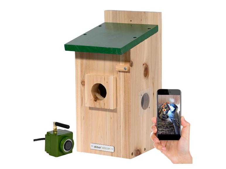 Vogelhaus aus Holz mit grünem Dach, einer Kamera und einem Smartphone, das Vogelbabys zeigt.