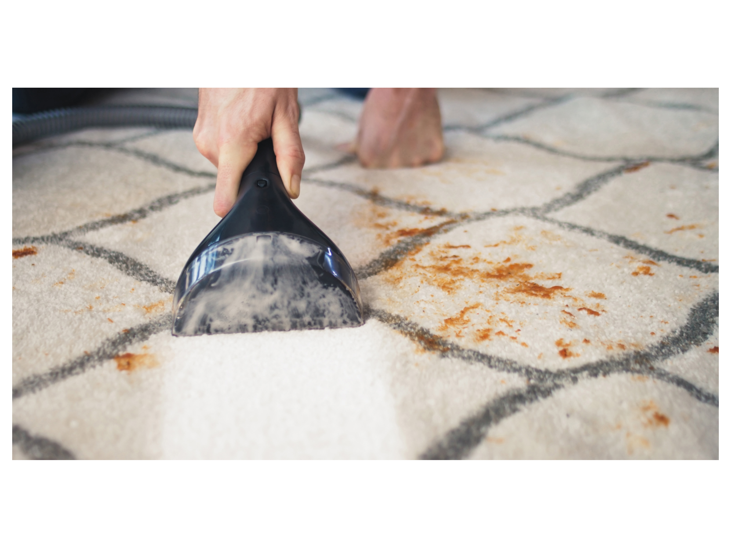 Thumbnail - Bissell Teppich- und Polsterreinigungsgerät »SpotClean Professional 1558N«